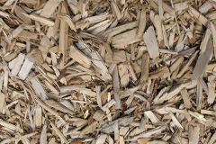 biomass boilers Cenin
